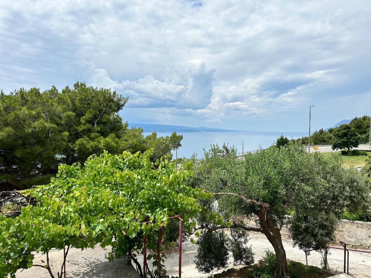Olive View Apartment Brela Extérieur photo